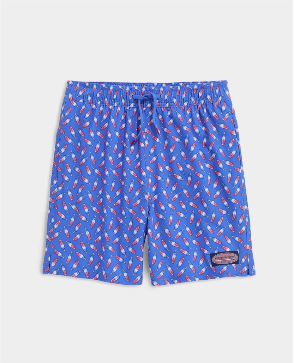 NEW VINEYARD VINES boys chappy pull-on trunks in tide blue